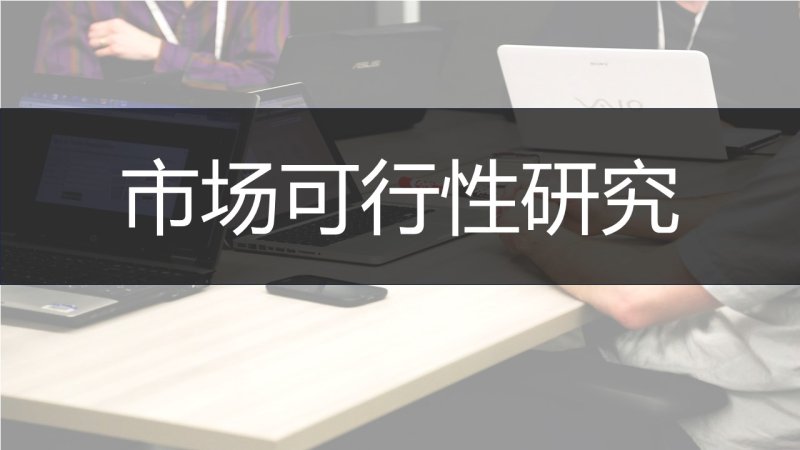 市场可行性研究