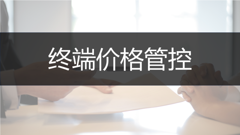 终端价格管控